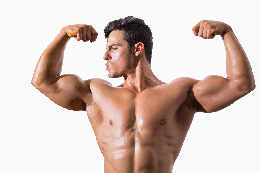 Big Muscle Building Workouts Big Muscle Building Workouts
